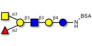 Blood group A antigen...