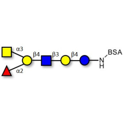 Blood group A antigen hexaose type 2 grafted on BSA