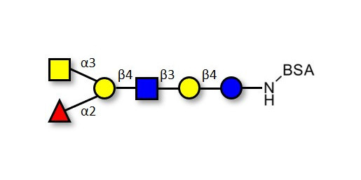 Blood group A antigen hexaose type 2 grafted on BSA