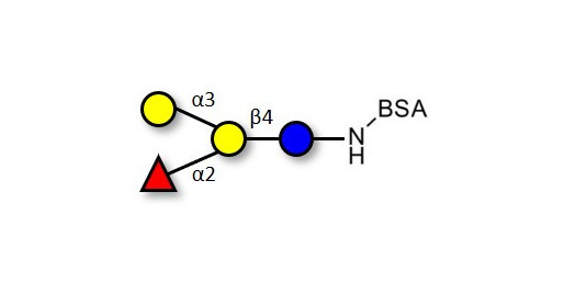 Blood group B antigen tetraose type 6 grafted on BSA