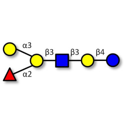 Blood group B antigen hexaose type 1 (>90% NMR)