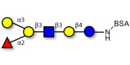 Blood group B antigen...