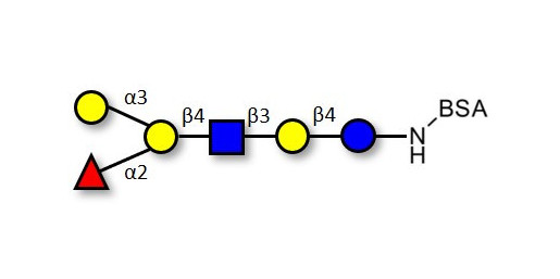 Blood group B antigen hexaose type 2 grafted on BSA