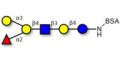 Blood group B antigen hexaose type 2 grafted on BSA