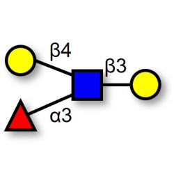 Lewis x (Lex) tetraose (>90% NMR)