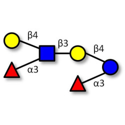 Lewis x (Lex) hexaose / Lacto-N-neodifucohexaose II (LNnDFH II) (>75% NMR)