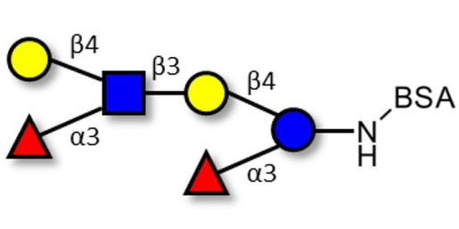 Lewis x (Lex) hexaose / Lacto-N-neodifucohexaose II (LNnDFH II) grafted on BSA - Lewis X hexasaccharide; Lacto-N-difucohexaose III ; LNDFH III