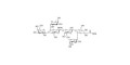 Lewis x (Lex) hexaose / Lacto-N-neodifucohexaose II (LNnDFH II) grafted on BSA - Lewis X hexasaccharide; Lacto-N-difucohexaose III ; LNDFH III