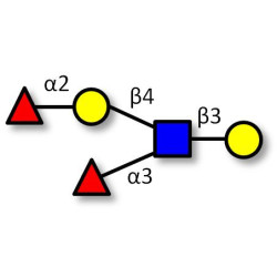 Lewis y (Ley) pentaose (>90% NMR)