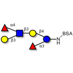 Lewis a (Lea) hexaose / Lacto-N-difucohexaose II (LNDFH II) grafted on BSA