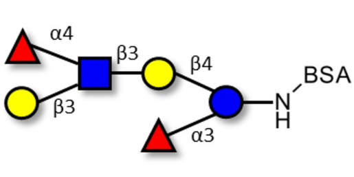 Lewis a (Lea) hexaose / Lacto-N-difucohexaose II (LNDFH II) grafted on BSA