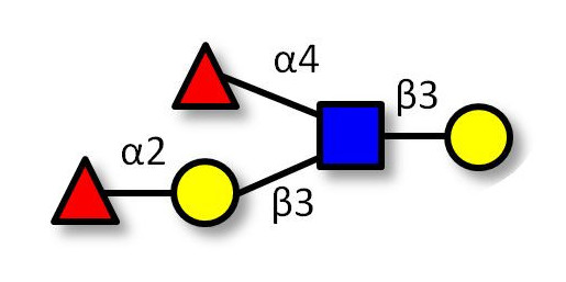 Lewis b (Leb) pentaose (>90% NMR) - Lewis B pentasaccharide