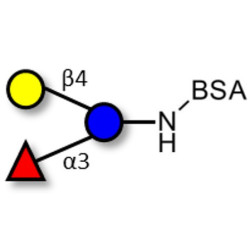3-Fucosyllactose (3-FL) grafted on BSA