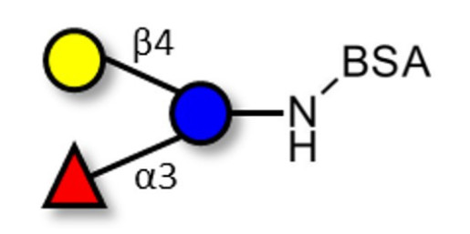 3-Fucosyllactose (3-FL) grafted on BSA