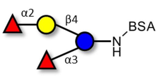 Difucosyllactose (DFL) / Lactodifucotetraose grafted on BSA