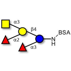 Blood group A pentaose grafted on BSA