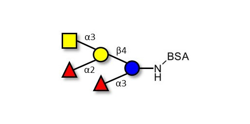 Blood group A pentaose grafted on BSA