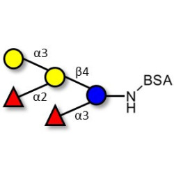 Blood group B pentaose grafted on BSA