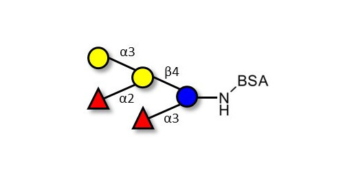Blood group B pentaose grafted on BSA