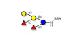 Blood group B pentaose grafted on BSA