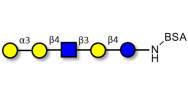 Galili antigen pentaose...