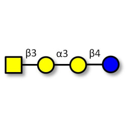 Isoglobotetraose (iGb4) (>90% NMR)
