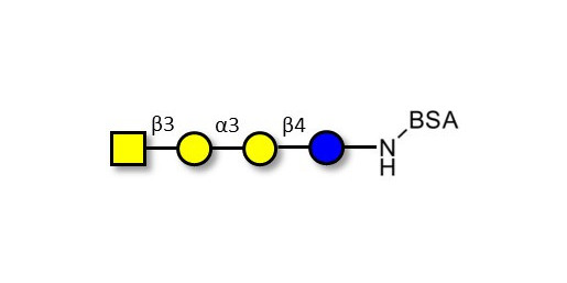 Isoglobotetraose (iGb4) grafted on BSA - Cytolipin R; Globoisotetraose