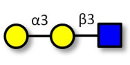 Xeno antigen type 1 / Blood...