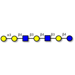Galili antigen heptaose (>90% NMR)
