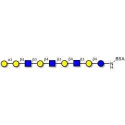 Galili antigen nonaose grafted on BSA