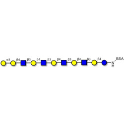 Galili antigen undecaose grafted on BSA