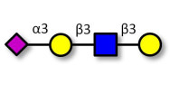 Sialylated tetraose type 1...