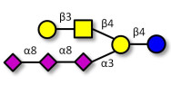GT1c Ganglioside...