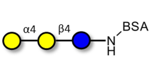 Globotriose (Gb3) grafted on BSA - Pk antigen