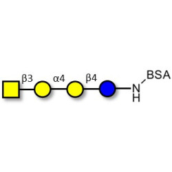 Globotetraose (Gb4) grafted on BSA