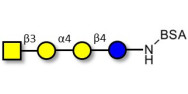 Globotetraose (Gb4) grafted...