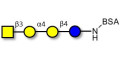 Globotetraose (Gb4) grafted on BSA - P antigen ; Globo-N-Tetraose