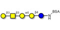 Globopentaose (Gb5) / Stage Specific Embryonic Antigen 3a (SSEA-3a) grafted on BSA