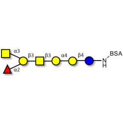Globo-A heptaose grafted on BSA
