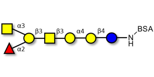 Globo-A heptaose grafted on BSA