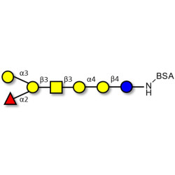 Globo-B heptaose grafted on BSA