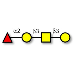 Blood group H antigen tetraose type 4 (>90% NMR)