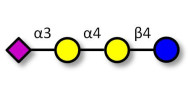 Sialylated globotriose...