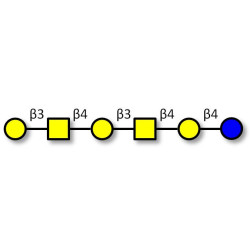 GalGalNAc-asialo GM1 Ganglioside oligosaccharide (>90% NMR)