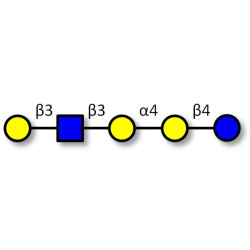 Globopentaose (Gb5) analogue type 1 (>90% NMR)