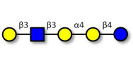 Globopentaose (Gb5)...