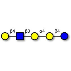 Globopentaose (Gb5) analogue type 2 (>90% NMR)