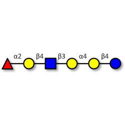Globo-H analogue type 2 (>90% NMR)