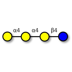 Galactosyl Globotriose (Gal-Gb3) (>80% NMR)