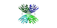 Pseudomonas aeruginosa...